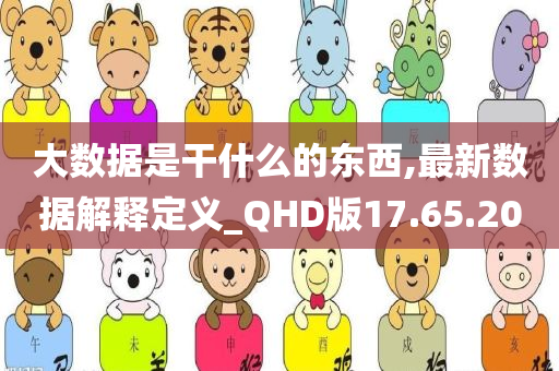 大数据是干什么的东西,最新数据解释定义_QHD版17.65.20