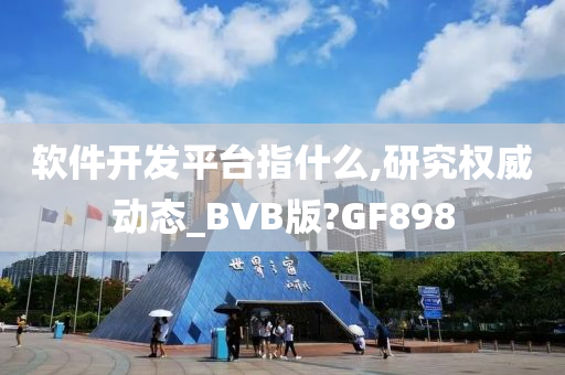 软件开发平台指什么,研究权威动态_BVB版?GF898