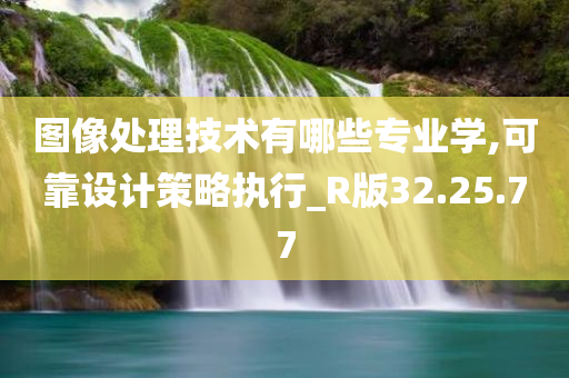 图像处理技术有哪些专业学,可靠设计策略执行_R版32.25.77