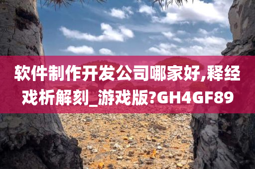 软件制作开发公司哪家好,释经戏析解刻_游戏版?GH4GF89