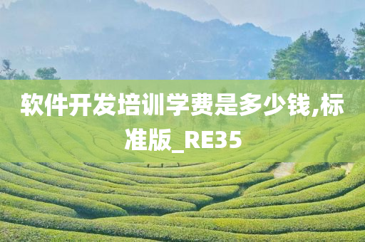 软件开发培训学费是多少钱,标准版_RE35