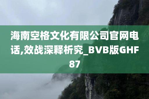 海南空格文化有限公司官网电话,效战深释析究_BVB版GHF87