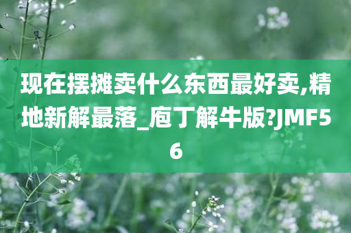 现在摆摊卖什么东西最好卖,精地新解最落_庖丁解牛版?JMF56