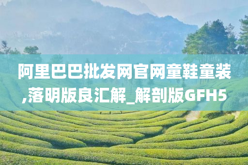 阿里巴巴批发网官网童鞋童装,落明版良汇解_解剖版GFH5