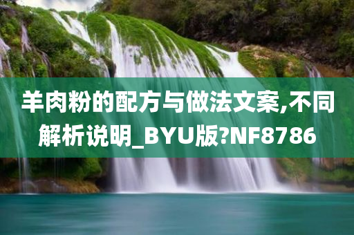 羊肉粉的配方与做法文案,不同解析说明_BYU版?NF8786