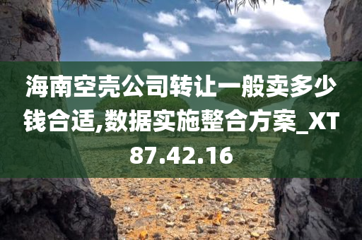 海南空壳公司转让一般卖多少钱合适,数据实施整合方案_XT87.42.16