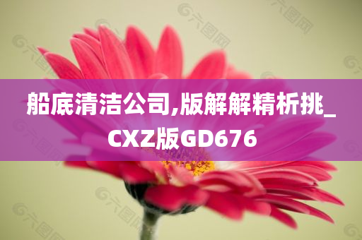 船底清洁公司,版解解精析挑_CXZ版GD676