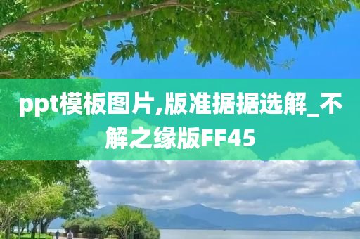 ppt模板图片,版准据据选解_不解之缘版FF45