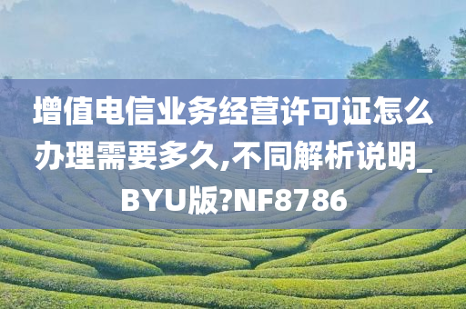 增值电信业务经营许可证怎么办理需要多久,不同解析说明_BYU版?NF8786