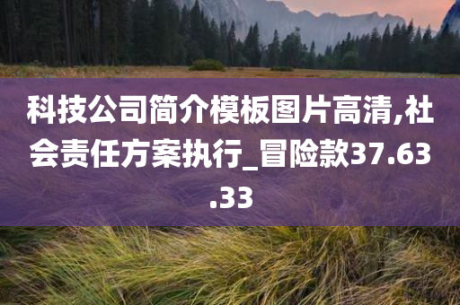 科技公司简介模板图片高清,社会责任方案执行_冒险款37.63.33