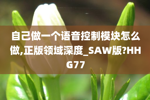 自己做一个语音控制模块怎么做,正版领域深度_SAW版?HHG77