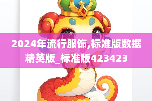 2024年流行服饰,标准版数据精英版_标准版423423