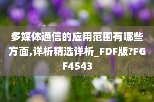 多媒体通信的应用范围有哪些方面,详析精选详析_FDF版?FGF4543