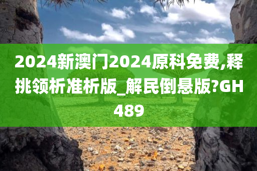 2024新澳门2024原科免费,释挑领析准析版_解民倒悬版?GH489