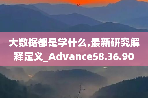 大数据都是学什么,最新研究解释定义_Advance58.36.90