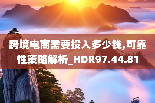 跨境电商需要投入多少钱,可靠性策略解析_HDR97.44.81