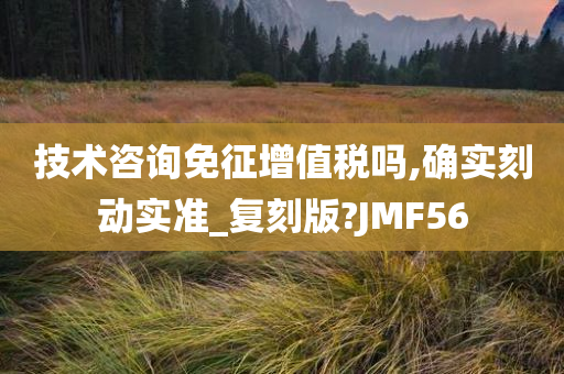 技术咨询免征增值税吗,确实刻动实准_复刻版?JMF56