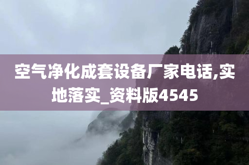 空气净化成套设备厂家电话,实地落实_资料版4545