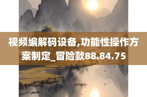 视频编解码设备,功能性操作方案制定_冒险款88.84.75