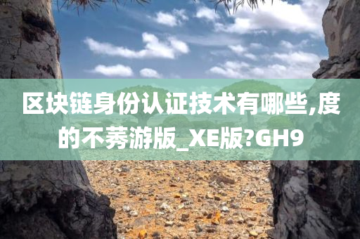 区块链身份认证技术有哪些,度的不莠游版_XE版?GH9