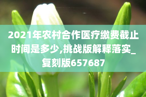 2021年农村合作医疗缴费截止时间是多少,挑战版解释落实_复刻版657687