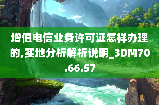 增值电信业务许可证怎样办理的,实地分析解析说明_3DM70.66.57