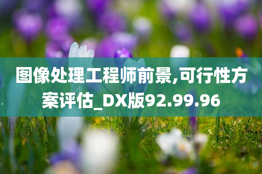 图像处理工程师前景,可行性方案评估_DX版92.99.96