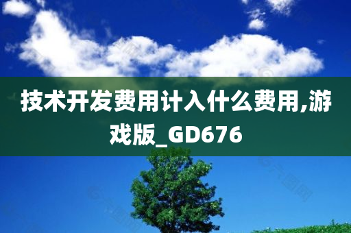 技术开发费用计入什么费用,游戏版_GD676