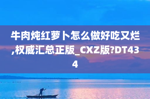 牛肉炖红萝卜怎么做好吃又烂,权威汇总正版_CXZ版?DT434