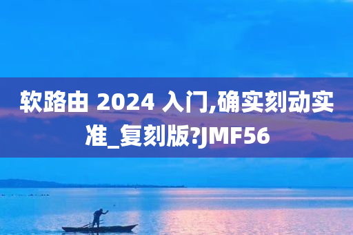 软路由 2024 入门,确实刻动实准_复刻版?JMF56