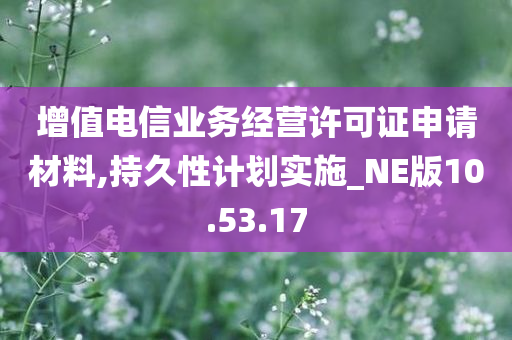 增值电信业务经营许可证申请材料,持久性计划实施_NE版10.53.17