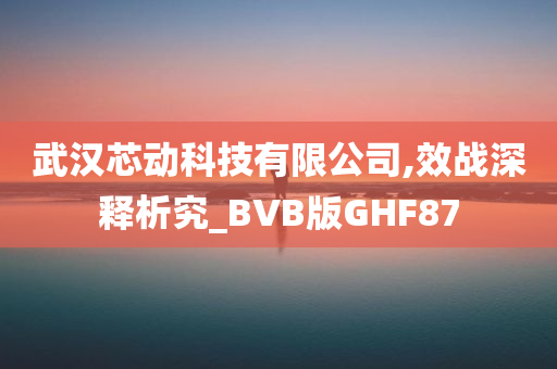 武汉芯动科技有限公司,效战深释析究_BVB版GHF87