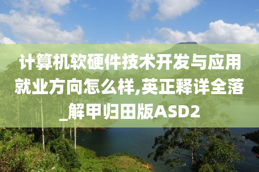 计算机软硬件技术开发与应用就业方向怎么样,英正释详全落_解甲归田版ASD2