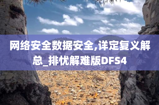 网络安全数据安全,详定复义解总_排忧解难版DFS4