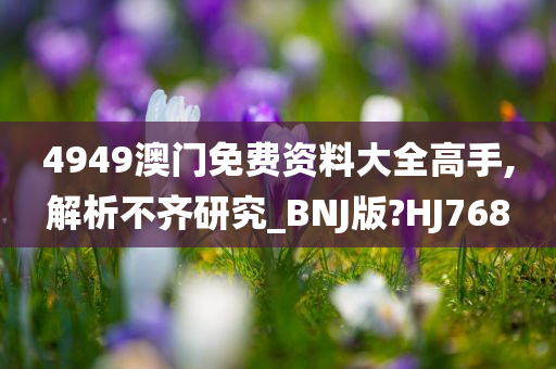 4949澳门免费资料大全高手,解析不齐研究_BNJ版?HJ768