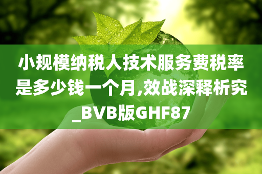 小规模纳税人技术服务费税率是多少钱一个月,效战深释析究_BVB版GHF87