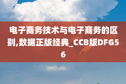 电子商务技术与电子商务的区别,数据正版经典_CCB版DFG56