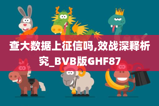 查大数据上征信吗,效战深释析究_BVB版GHF87