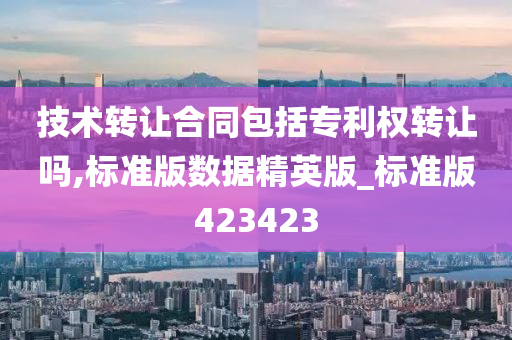 技术转让合同包括专利权转让吗,标准版数据精英版_标准版423423