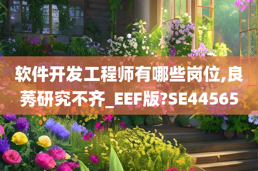 软件开发工程师有哪些岗位,良莠研究不齐_EEF版?SE44565