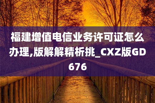 福建增值电信业务许可证怎么办理,版解解精析挑_CXZ版GD676