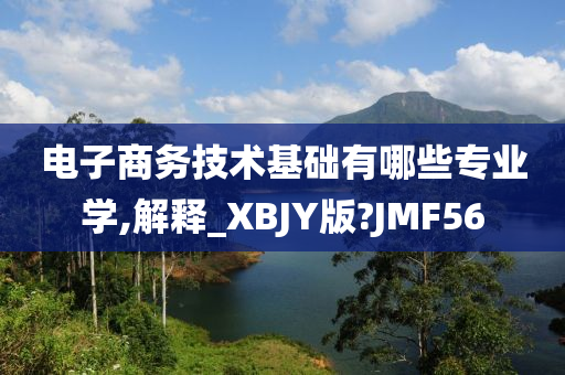 电子商务技术基础有哪些专业学,解释_XBJY版?JMF56