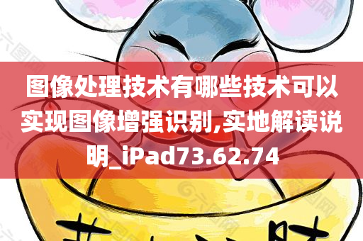 图像处理技术有哪些技术可以实现图像增强识别,实地解读说明_iPad73.62.74