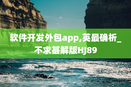 软件开发外包app,英最确析_不求甚解版HJ89