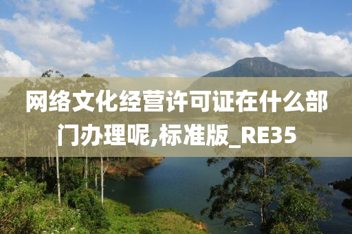 网络文化经营许可证在什么部门办理呢,标准版_RE35