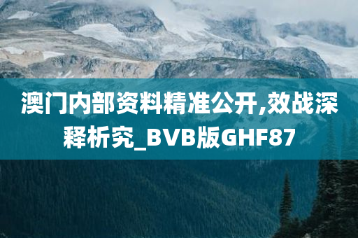 澳门内部资料精准公开,效战深释析究_BVB版GHF87