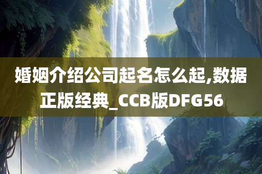 婚姻介绍公司起名怎么起,数据正版经典_CCB版DFG56