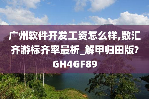 广州软件开发工资怎么样,数汇齐游标齐率最析_解甲归田版?GH4GF89