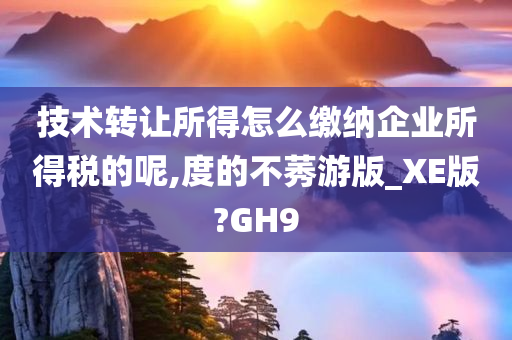 技术转让所得怎么缴纳企业所得税的呢,度的不莠游版_XE版?GH9