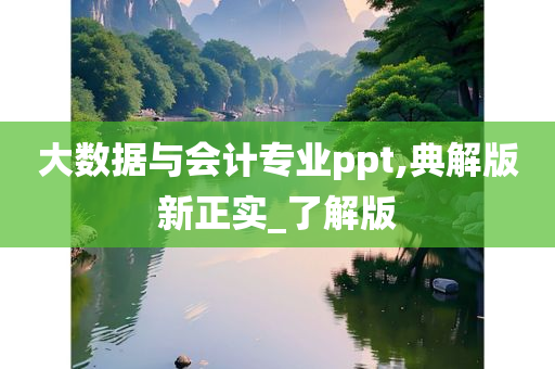 大数据与会计专业ppt,典解版新正实_了解版